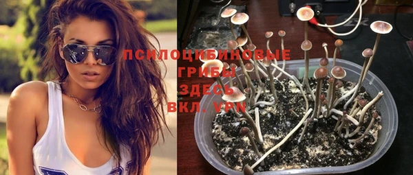 прущие крисы Наволоки