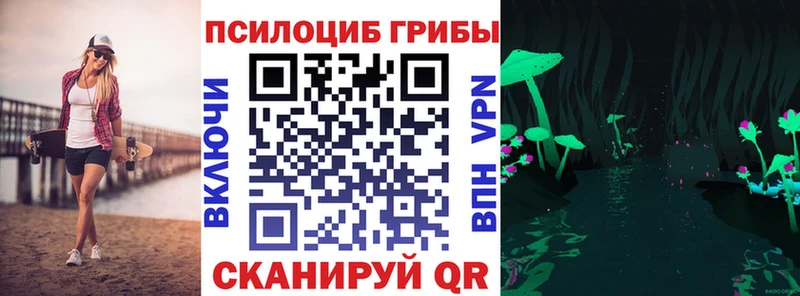 Галлюциногенные грибы Psilocybine cubensis Купить закладки Ядрин